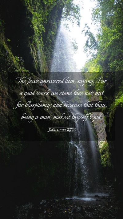 Picture 03 - John 10:33 KJV Mobile Phone Wallpaper - The Jews answered him, saying, For a good work we - Mobile Bible Verse Wallpaper