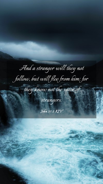 Picture 03 - John 10:5 KJV Mobile Phone Wallpaper - And a stranger will they not follow, but will - Mobile Bible Verse Wallpaper