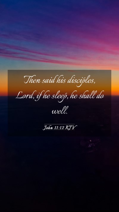 Picture 03 - John 11:12 KJV Mobile Phone Wallpaper - Then said his disciples, Lord, if he sleep, he - Mobile Bible Verse Wallpaper