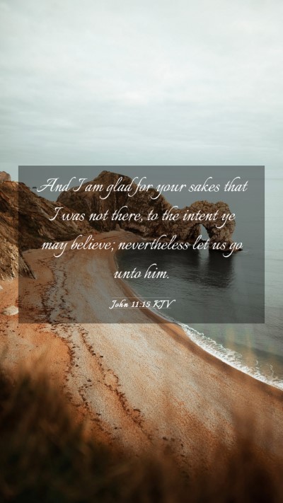 Picture 03 - John 11:15 KJV Mobile Phone Wallpaper - And I am glad for your sakes that I was not - Mobile Bible Verse Wallpaper