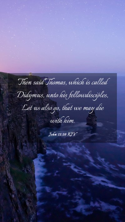 Picture 03 - John 11:16 KJV Mobile Phone Wallpaper - Then said Thomas, which is called Didymus, unto - Mobile Bible Verse Wallpaper
