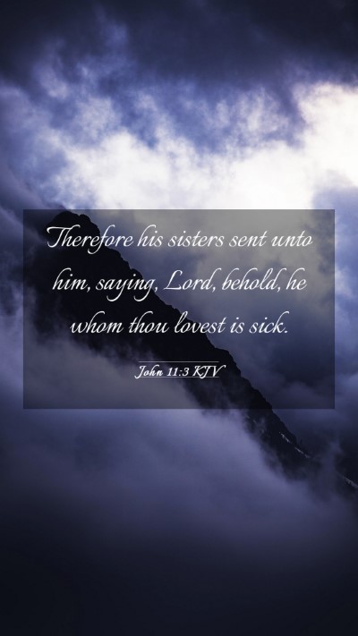 Picture 03 - John 11:3 KJV Mobile Phone Wallpaper - Therefore his sisters sent unto him, saying, - Mobile Bible Verse Wallpaper
