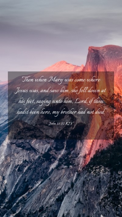 Picture 03 - John 11:32 KJV Mobile Phone Wallpaper - Then when Mary was come where Jesus was, and saw - Mobile Bible Verse Wallpaper