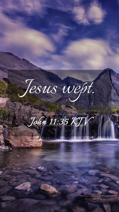 Picture 03 - John 11:35 KJV Mobile Phone Wallpaper - Jesus - Mobile Bible Verse Wallpaper