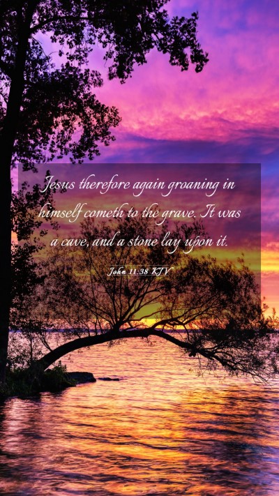 Picture 03 - John 11:38 KJV Mobile Phone Wallpaper - Jesus therefore again groaning in himself cometh - Mobile Bible Verse Wallpaper