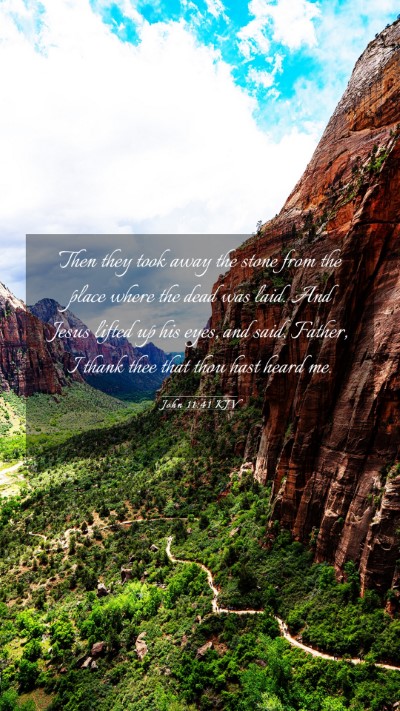 Picture 03 - John 11:41 KJV Mobile Phone Wallpaper - Then they took away the stone from the place - Mobile Bible Verse Wallpaper