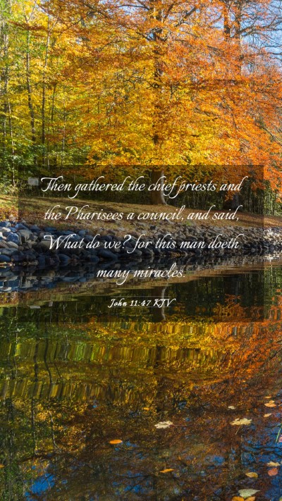 Picture 03 - John 11:47 KJV Mobile Phone Wallpaper - Then gathered the chief priests and the Pharisees - Mobile Bible Verse Wallpaper