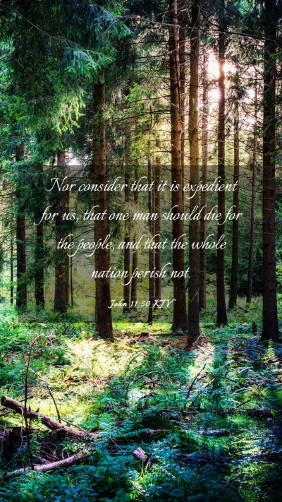 Picture 03 - John 11:50 KJV Mobile Phone Wallpaper - Nor consider that it is expedient for us, that - Mobile Bible Verse Wallpaper