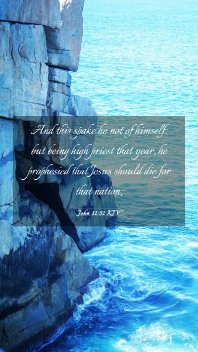 Picture 03 - John 11:51 KJV Mobile Phone Wallpaper - And this spake he not of himself: but being high - Mobile Bible Verse Wallpaper