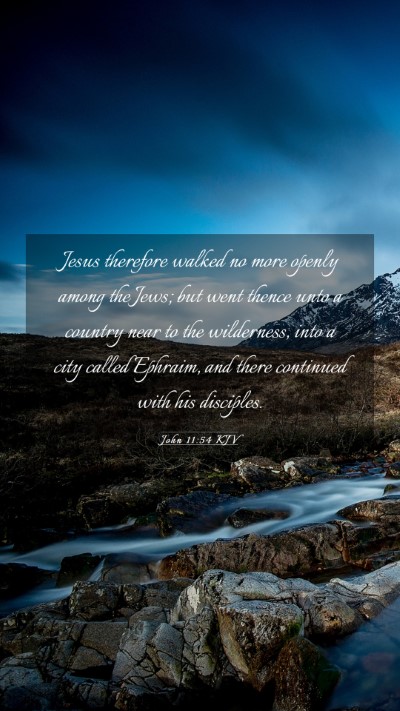Picture 03 - John 11:54 KJV Mobile Phone Wallpaper - Jesus therefore walked no more openly among the - Mobile Bible Verse Wallpaper
