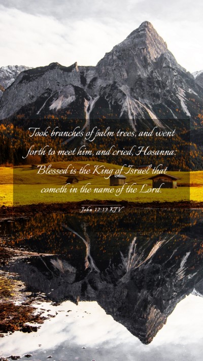 Picture 03 - John 12:13 KJV Mobile Phone Wallpaper - Took branches of palm trees, and went forth to - Mobile Bible Verse Wallpaper