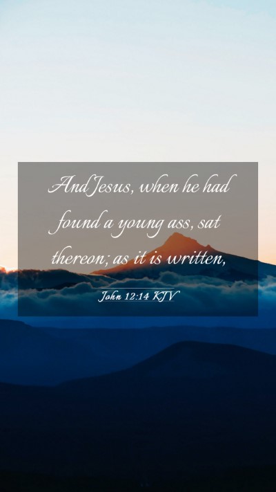 Picture 03 - John 12:14 KJV Mobile Phone Wallpaper - And Jesus, when he had found a young ass, sat - Mobile Bible Verse Wallpaper