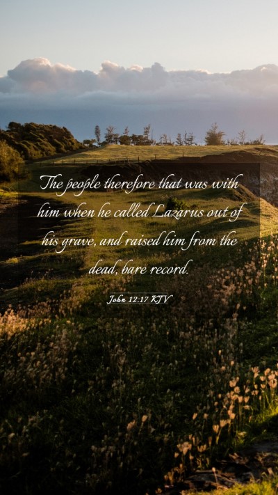 Picture 03 - John 12:17 KJV Mobile Phone Wallpaper - The people therefore that was with him when he - Mobile Bible Verse Wallpaper