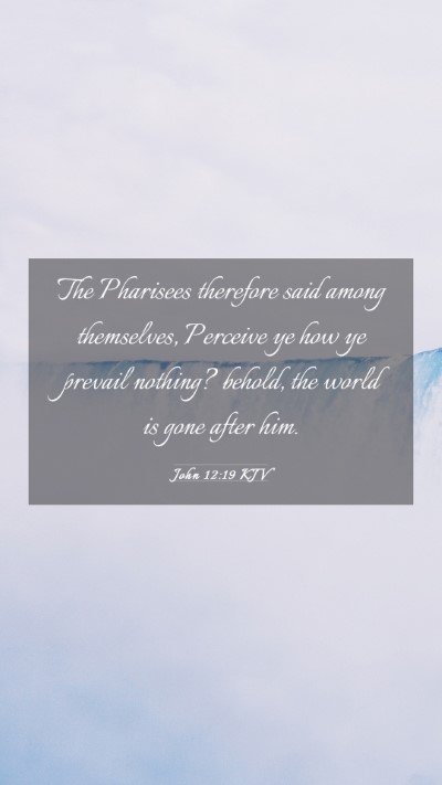 Picture 03 - John 12:19 KJV Mobile Phone Wallpaper - The Pharisees therefore said among themselves, - Mobile Bible Verse Wallpaper