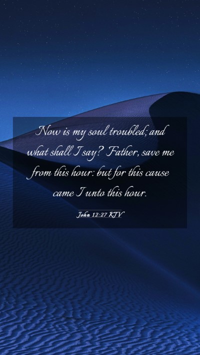 Picture 03 - John 12:27 KJV Mobile Phone Wallpaper - Now is my soul troubled; and what shall I say? - Mobile Bible Verse Wallpaper