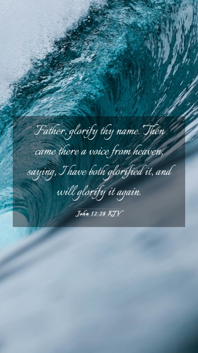 Picture 03 - John 12:28 KJV Mobile Phone Wallpaper - Father, glorify thy name. Then came there a voice - Mobile Bible Verse Wallpaper