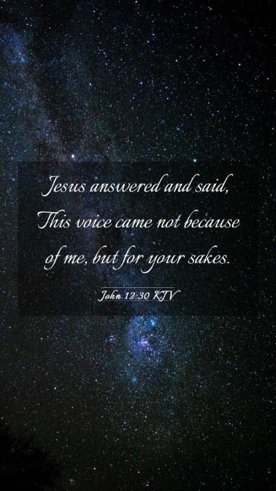 Picture 03 - John 12:30 KJV Mobile Phone Wallpaper - Jesus answered and said, This voice came not - Mobile Bible Verse Wallpaper