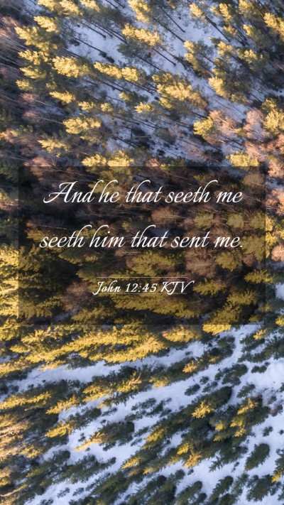Picture 03 - John 12:45 KJV Mobile Phone Wallpaper - And he that seeth me seeth him that sent - Mobile Bible Verse Wallpaper