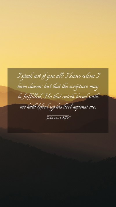 Picture 03 - John 13:18 KJV Mobile Phone Wallpaper - I speak not of you all: I know whom I have - Mobile Bible Verse Wallpaper