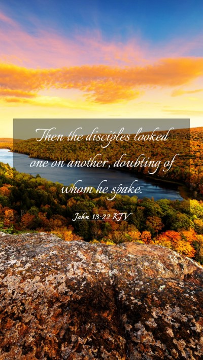 Picture 03 - John 13:22 KJV Mobile Phone Wallpaper - Then the disciples looked one on another, - Mobile Bible Verse Wallpaper