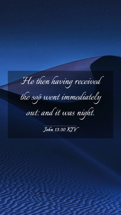 Picture 03 - John 13:30 KJV Mobile Phone Wallpaper - He then having received the sop went immediately - Mobile Bible Verse Wallpaper