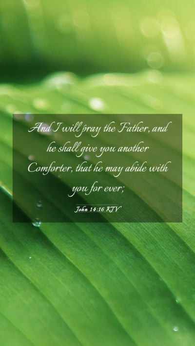 Picture 03 - John 14:16 KJV Mobile Phone Wallpaper - And I will pray the Father, and he shall give you - Mobile Bible Verse Wallpaper