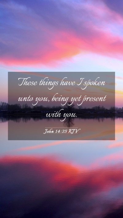 Picture 03 - John 14:25 KJV Mobile Phone Wallpaper - These things have I spoken unto you, being yet - Mobile Bible Verse Wallpaper