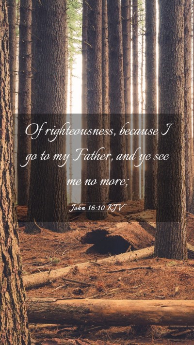 Picture 03 - John 16:10 KJV Mobile Phone Wallpaper - Of righteousness, because I go to my Father, and - Mobile Bible Verse Wallpaper