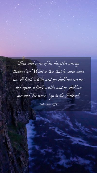 Picture 03 - John 16:17 KJV Mobile Phone Wallpaper - Then said some of his disciples among themselves, - Mobile Bible Verse Wallpaper