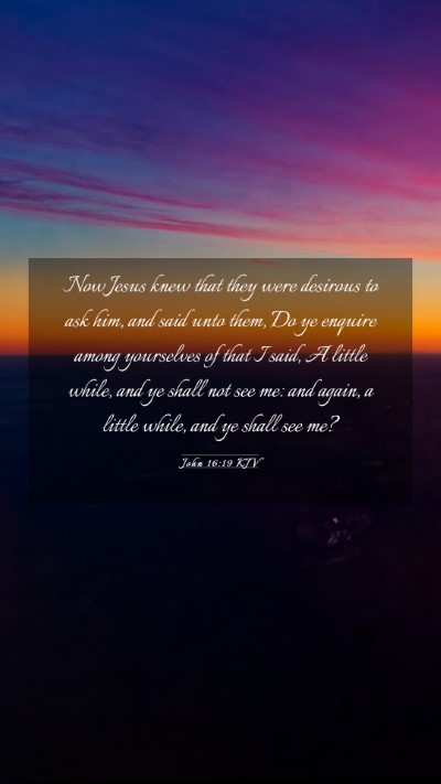 Picture 03 - John 16:19 KJV Mobile Phone Wallpaper - Now Jesus knew that they were desirous to ask - Mobile Bible Verse Wallpaper
