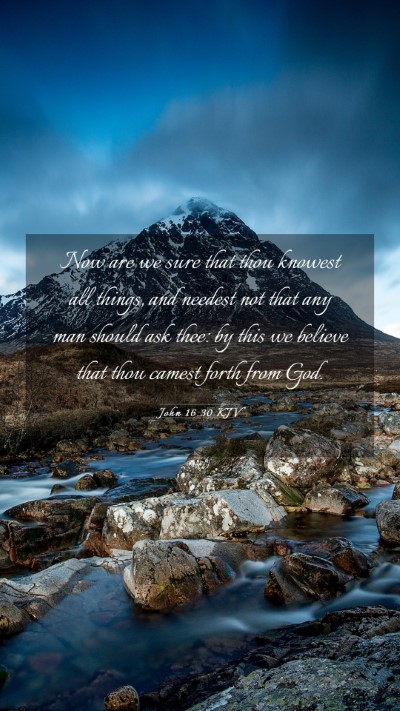 Picture 03 - John 16:30 KJV Mobile Phone Wallpaper - Now are we sure that thou knowest all things, and - Mobile Bible Verse Wallpaper