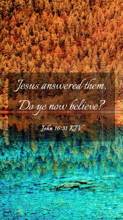 Picture 03 - John 16:31 KJV Mobile Phone Wallpaper - Jesus answered them, Do ye now - Mobile Bible Verse Wallpaper