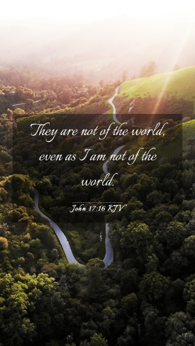 Picture 03 - John 17:16 KJV Mobile Phone Wallpaper - They are not of the world, even as I am not of - Mobile Bible Verse Wallpaper