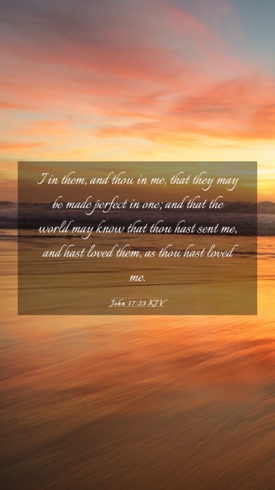Picture 03 - John 17:23 KJV Mobile Phone Wallpaper - I in them, and thou in me, that they may be made - Mobile Bible Verse Wallpaper