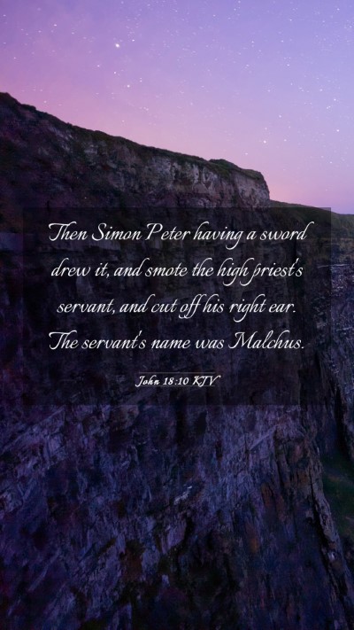 Picture 03 - John 18:10 KJV Mobile Phone Wallpaper - Then Simon Peter having a sword drew it, and - Mobile Bible Verse Wallpaper