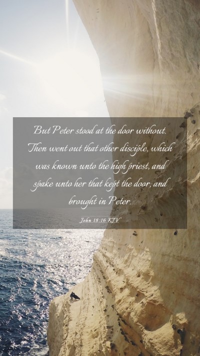 Picture 03 - John 18:16 KJV Mobile Phone Wallpaper - But Peter stood at the door without. Then went - Mobile Bible Verse Wallpaper