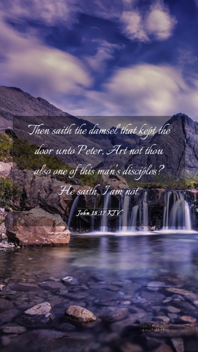 Picture 03 - John 18:17 KJV Mobile Phone Wallpaper - Then saith the damsel that kept the door unto - Mobile Bible Verse Wallpaper