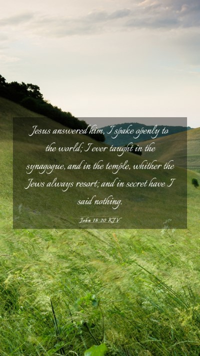 Picture 03 - John 18:20 KJV Mobile Phone Wallpaper - Jesus answered him, I spake openly to the world; - Mobile Bible Verse Wallpaper