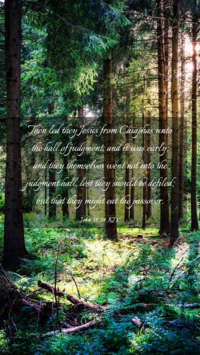Picture 03 - John 18:28 KJV Mobile Phone Wallpaper - Then led they Jesus from Caiaphas unto the hall - Mobile Bible Verse Wallpaper