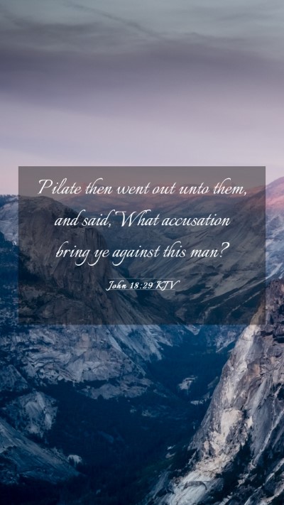 Picture 03 - John 18:29 KJV Mobile Phone Wallpaper - Pilate then went out unto them, and said, What - Mobile Bible Verse Wallpaper
