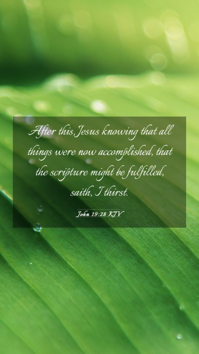 Picture 03 - John 19:28 KJV Mobile Phone Wallpaper - After this, Jesus knowing that all things were - Mobile Bible Verse Wallpaper