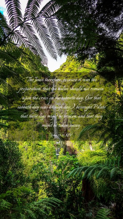 Picture 03 - John 19:31 KJV Mobile Phone Wallpaper - The Jews therefore, because it was the - Mobile Bible Verse Wallpaper
