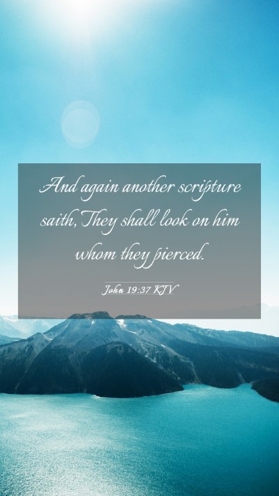 Picture 03 - John 19:37 KJV Mobile Phone Wallpaper - And again another scripture saith, They shall - Mobile Bible Verse Wallpaper