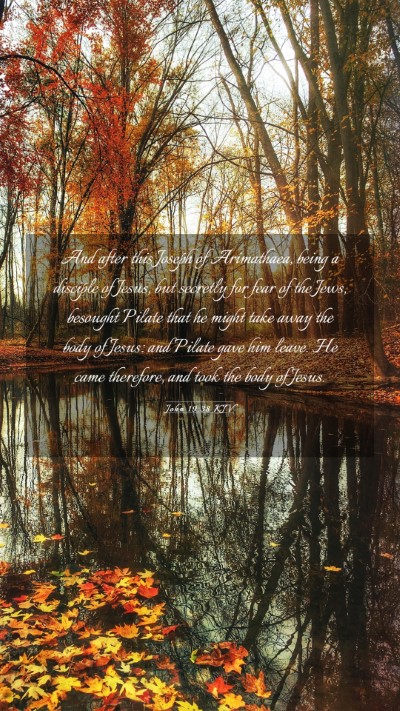 Picture 03 - John 19:38 KJV Mobile Phone Wallpaper - And after this Joseph of Arimathaea, being a - Mobile Bible Verse Wallpaper
