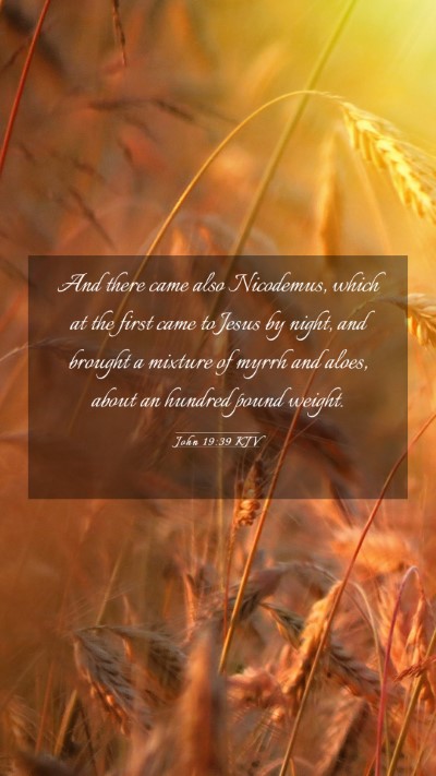 Picture 03 - John 19:39 KJV Mobile Phone Wallpaper - And there came also Nicodemus, which at the first - Mobile Bible Verse Wallpaper