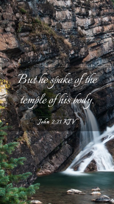 Picture 03 - John 2:21 KJV Mobile Phone Wallpaper - But he spake of the temple of his - Mobile Bible Verse Wallpaper