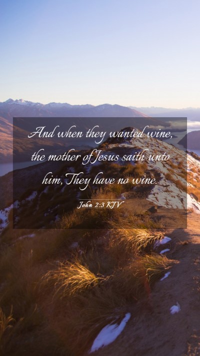 Picture 03 - John 2:3 KJV Mobile Phone Wallpaper - And when they wanted wine, the mother of Jesus - Mobile Bible Verse Wallpaper