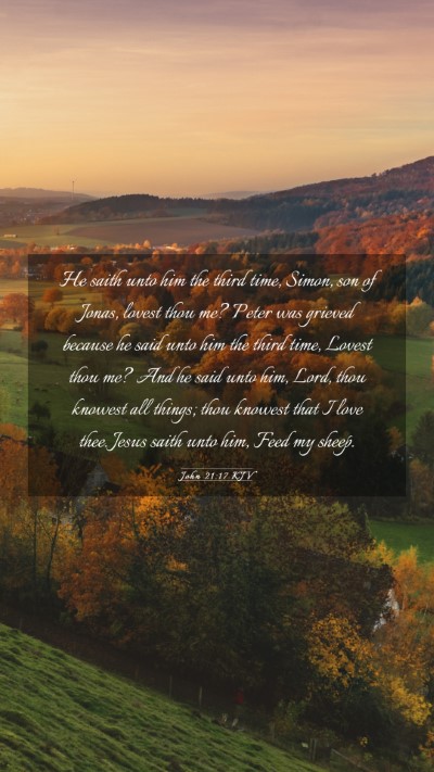 Picture 03 - John 21:17 KJV Mobile Phone Wallpaper - He saith unto him the third time, Simon, son of - Mobile Bible Verse Wallpaper