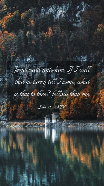 Picture 03 - John 21:22 KJV Mobile Phone Wallpaper - Jesus saith unto him, If I will that he tarry - Mobile Bible Verse Wallpaper