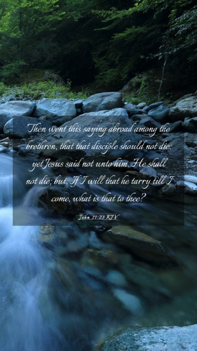Picture 03 - John 21:23 KJV Mobile Phone Wallpaper - Then went this saying abroad among the brethren, - Mobile Bible Verse Wallpaper